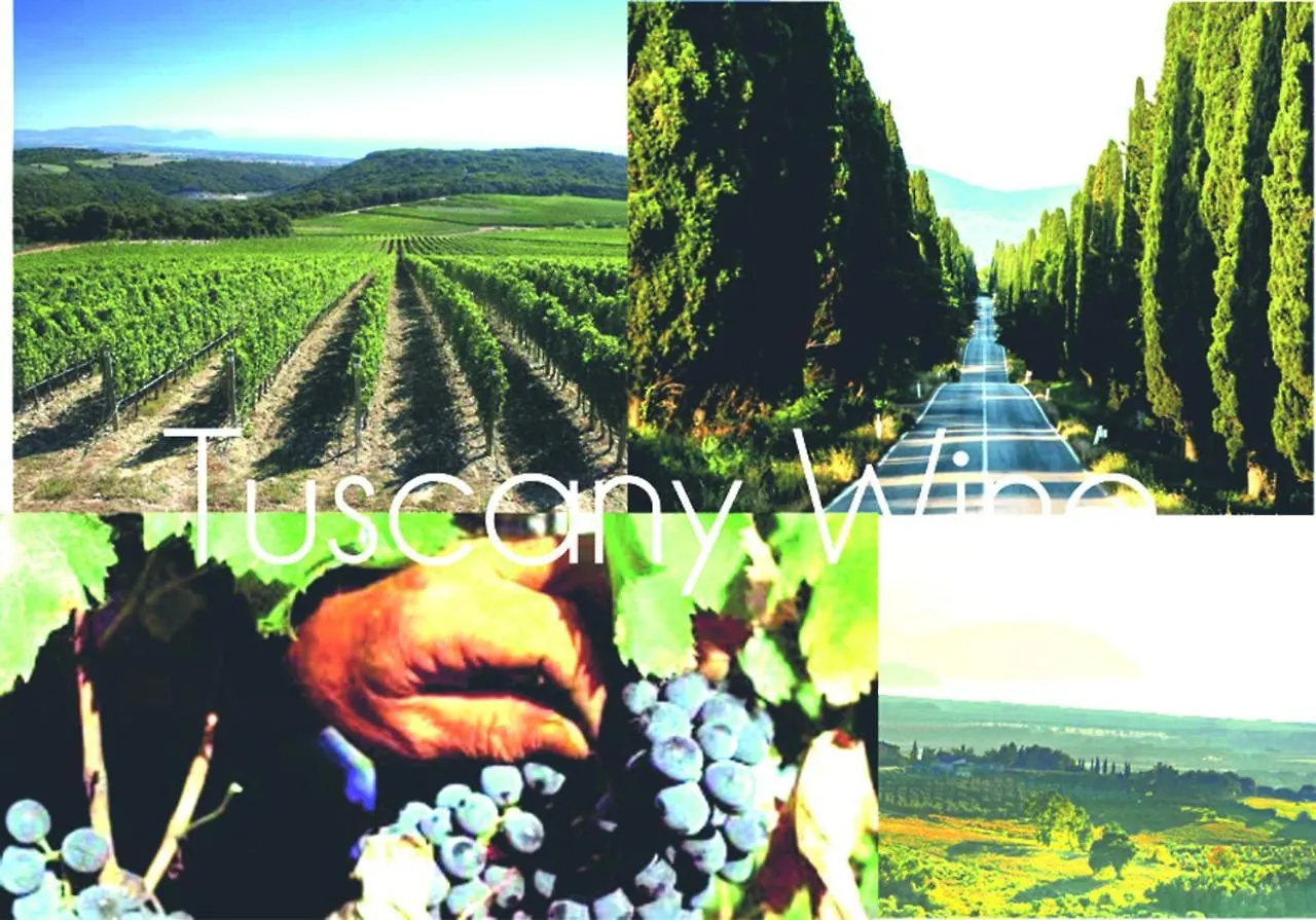Etrusca Shabby Chic Apartment - Tuscany - Venturina Terme